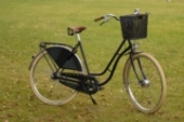 Südstern Damenräder
