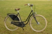 Südstern Damenräder