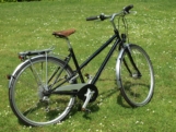 Südstern Damenräder