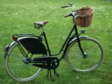 Südstern Damenräder